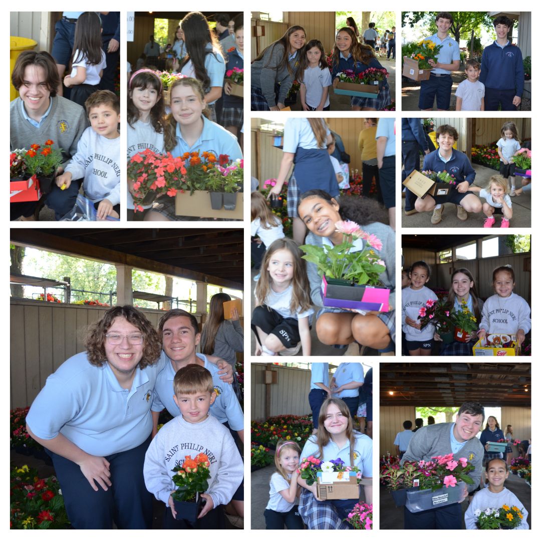 Flower Mart 8